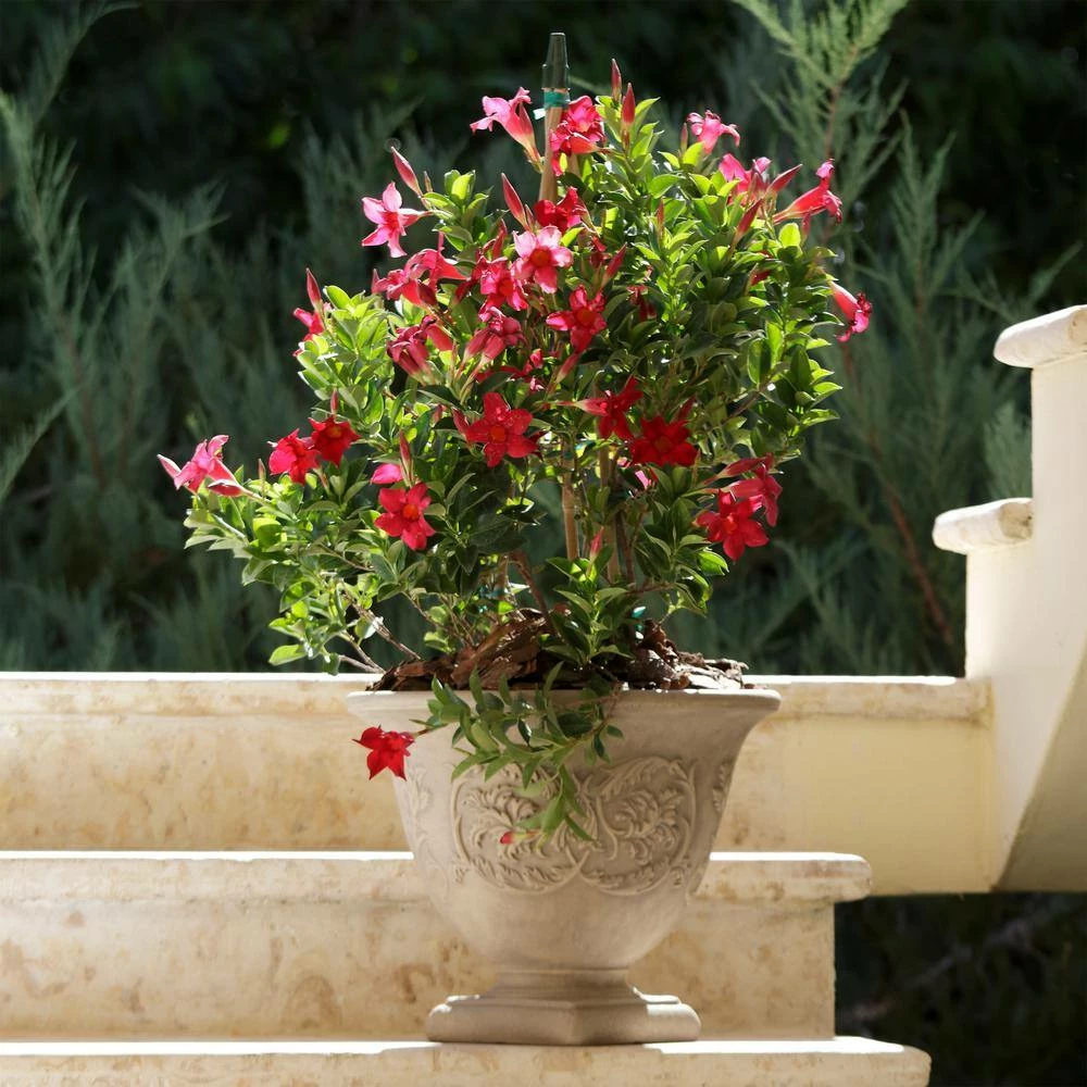 Sunnydaze Decor 16 in. Beige Darcy Poly Flower Pot Planter (4-Pack) 2 Sunnydaze Decor 16 in. Beige Darcy Poly Flower Pot Planter (4-Pack) - Image 2