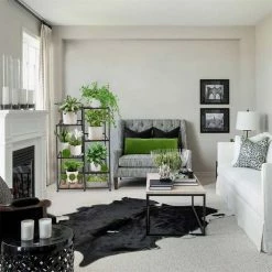 Sunnydaze Decor Sales -Sunnydaze Decor Sales black dyiom plant stands b09z23q67r c3 1000