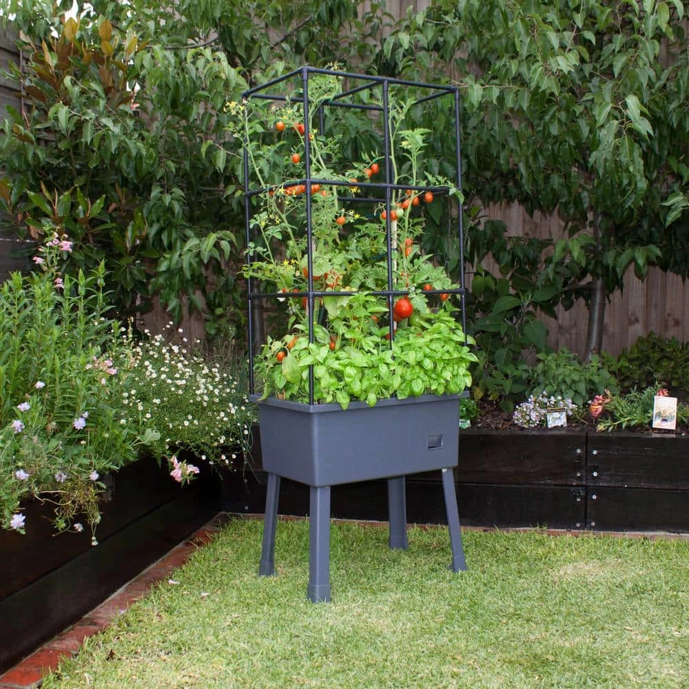 Frame It All Patio Ideas - 15.75 in. x 23.5 in. x 63 in. Self-Watering Raised Garden Bed with Trellis and Greenhouse Cover 3 Frame It All Patio Ideas - 15.75 in. x 23.5 in. x 63 in. Self-Watering Raised Garden Bed with Trellis and Greenhouse Cover - Image 3