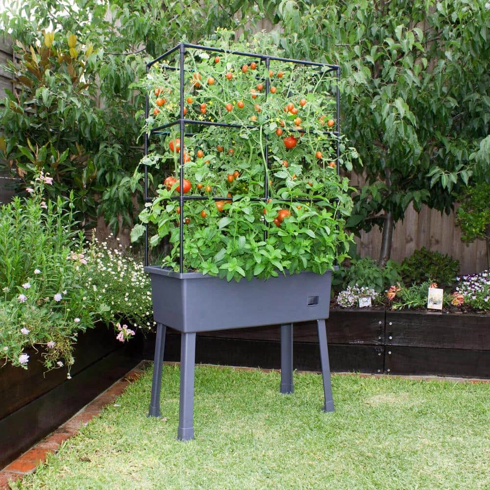 Frame It All Patio Ideas - 15.75 in. x 31.5 in. x 63 in. Self-Watering Raised Garden Bed with Trellis and Greenhouse Cover 2 Frame It All Patio Ideas - 15.75 in. x 31.5 in. x 63 in. Self-Watering Raised Garden Bed with Trellis and Greenhouse Cover - Image 2
