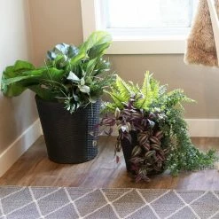 Sunnydaze Decor Sunnydaze Round Polyrattan Indoor Planters - 1 Large/1 Small Planter - Black -Sunnydaze Decor Sales black sunnydaze decor plant pots nhu 492 31 1000