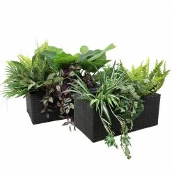 Sunnydaze Decor Black Sunnydaze 2-Section Rectangle Polypropylene Indoor Plastic Planters - (Set of 2) -Sunnydaze Decor Sales black sunnydaze decor plant pots nhu 539 4f 1000