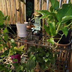 Sunnydaze Decor 3-Tier Metal Iron Plant Stand with Scroll Edging -Sunnydaze Decor Sales black sunnydaze decor plant stands hmi 757 fa 1000