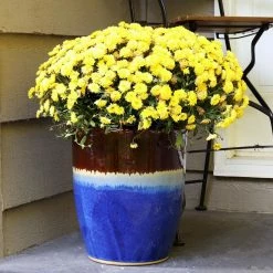 Sunnydaze Decor Captivating Vista 14 in. Beachcomber Ceramic Indoor/Outdoor Planter -Sunnydaze Decor Sales blue sunnydaze decor plant pots ap 000 76 1000