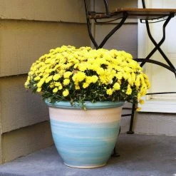 Sunnydaze Decor Purlieu 15 in. Shoreline Ceramic Indoor/Outdoor Planter -Sunnydaze Decor Sales blue sunnydaze decor plant pots ap 004 fa 1000