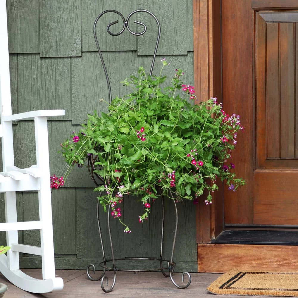 Sunnydaze Decor Sunnydaze 38 in. H Scrolling Chair Indoor/Outdoor Steel Plant Stand 7 Sunnydaze Decor Sunnydaze 38 in. H Scrolling Chair Indoor/Outdoor Steel Plant Stand - Image 7