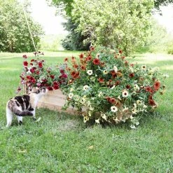 Sunnydaze Decor 24 in. x 48.25 in. Wood Rectangular Outdoor Raised Garden Bed -Sunnydaze Decor Sales brown sunnydaze decor raised planter boxes hb 727 44 1000