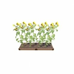 Frame It All Classic Sienna 2 ft. x 8 ft. x 5.5 in. Composite Raised Garden Bed - 1 in. Profile