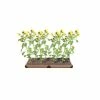 Frame It All 2 ft. x 8 ft. x 5.5 in. Classic Sienna Composite Raised Garden Bed 2 in. Profile