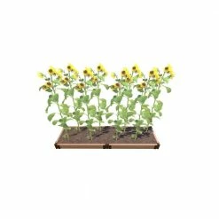 Frame It All 2 ft. x 8 ft. x 5.5 in. Classic Sienna Composite Raised Garden Bed 2 in. Profile