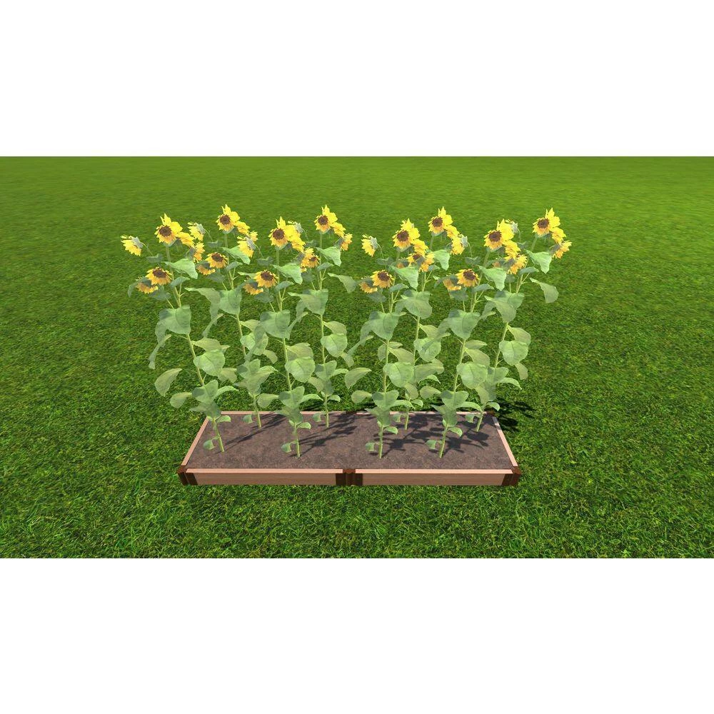 Frame It All 2 ft. x 8 ft. x 5.5 in. Classic Sienna Composite Raised Garden Bed 2 in. Profile 2 Frame It All 2 ft. x 8 ft. x 5.5 in. Classic Sienna Composite Raised Garden Bed 2 in. Profile - Image 2