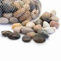 Dyiom 0.1 cu. ft. Multi-Colored Medium Decorative Pebbles 5 lbs. 3/4 in.-2 in. Landscape Rocks