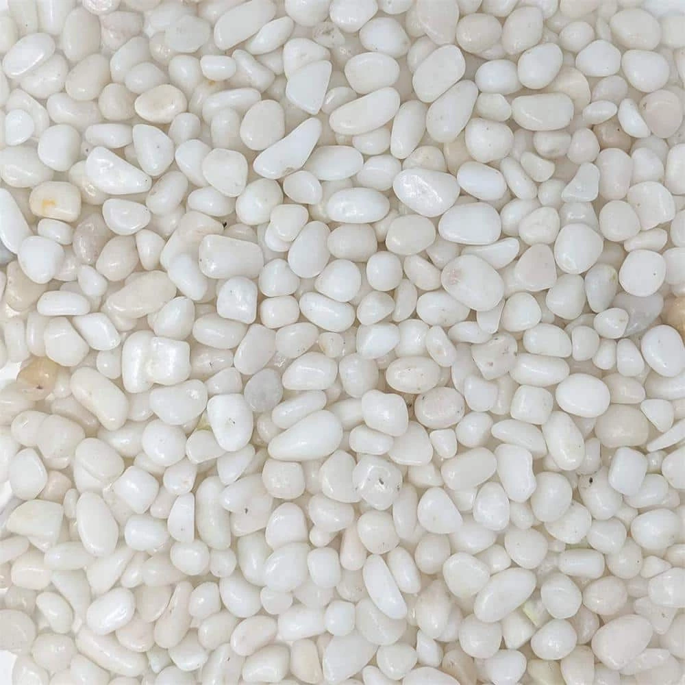 Dyiom 0.1 cu. ft. White Small Polished Pebbles 5 lbs. 3/8 in.-1/2 in. Size Landscape Rocks 3 Dyiom 0.1 cu. ft. White Small Polished Pebbles 5 lbs. 3/8 in.-1/2 in. Size Landscape Rocks - Image 3