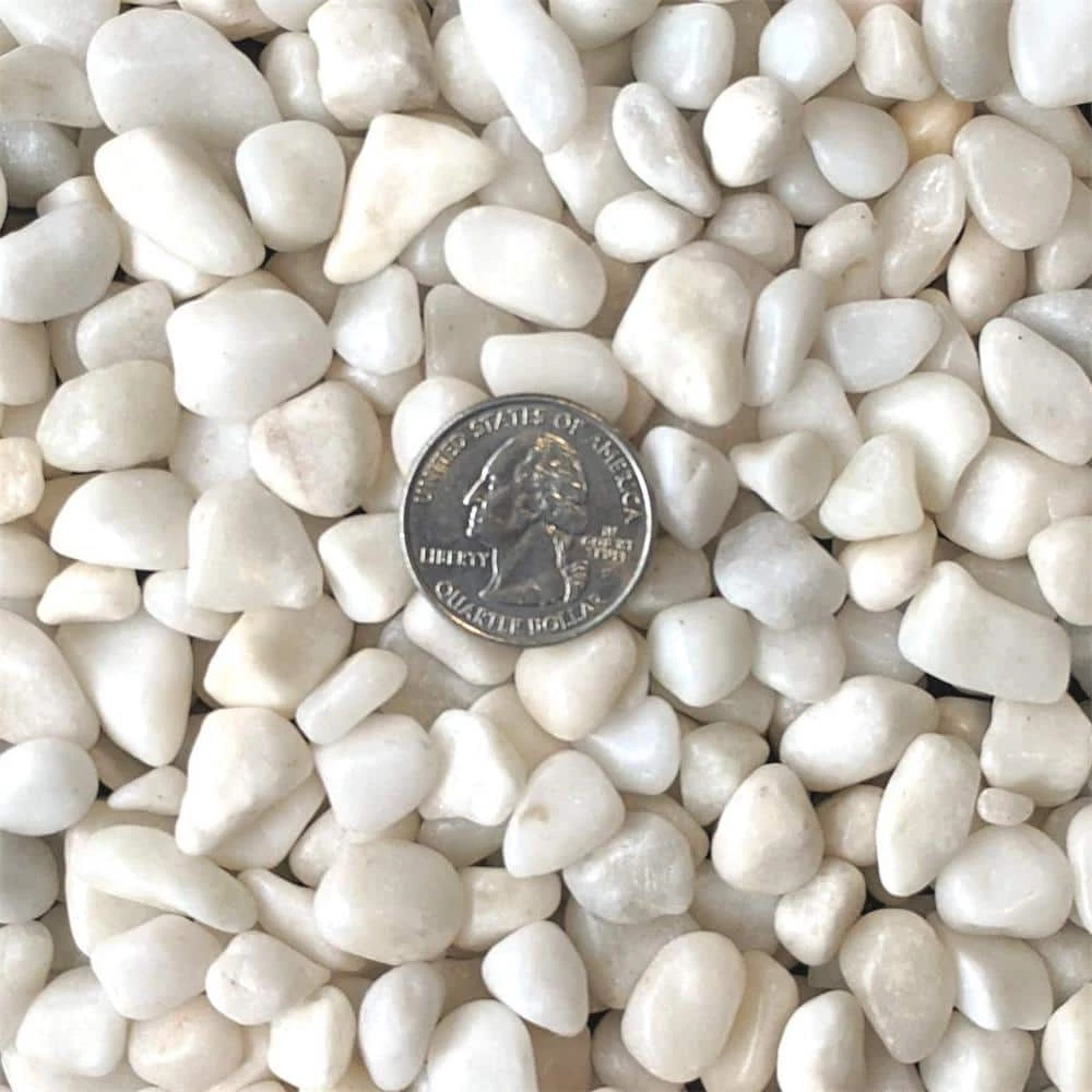 Dyiom 0.1 cu. ft. White Small Polished Pebbles 5 lbs. 3/8 in.-1/2 in. Size Landscape Rocks 2 Dyiom 0.1 cu. ft. White Small Polished Pebbles 5 lbs. 3/8 in.-1/2 in. Size Landscape Rocks - Image 2