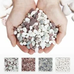 Dyiom 0.1 cu. ft. Multi-Colored Extra Small Gravel 2.5 lbs. 0.2 in.-0.4 in. Size Landscape Rocks 9 Dyiom 0.1 cu. ft. Multi-Colored Extra Small Gravel 2.5 lbs. 0.2 in.-0.4 in. Size Landscape Rocks -Sunnydaze Decor Sales dyiom bagged landscape rocks b07svs372w 1f 1000