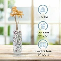 Dyiom 0.1 cu. ft. Multi-Colored Extra Small Gravel 2.5 lbs. 0.2 in.-0.4 in. Size Landscape Rocks 10 Dyiom 0.1 cu. ft. Multi-Colored Extra Small Gravel 2.5 lbs. 0.2 in.-0.4 in. Size Landscape Rocks -Sunnydaze Decor Sales dyiom bagged landscape rocks b07svs372w 44 1000