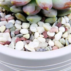 Dyiom 0.1 cu. ft. Multi-Colored Extra Small Gravel 2.5 lbs. 0.2 in.-0.4 in. Size Landscape Rocks 8 Dyiom 0.1 cu. ft. Multi-Colored Extra Small Gravel 2.5 lbs. 0.2 in.-0.4 in. Size Landscape Rocks -Sunnydaze Decor Sales dyiom bagged landscape rocks b07svs372w 4f 1000