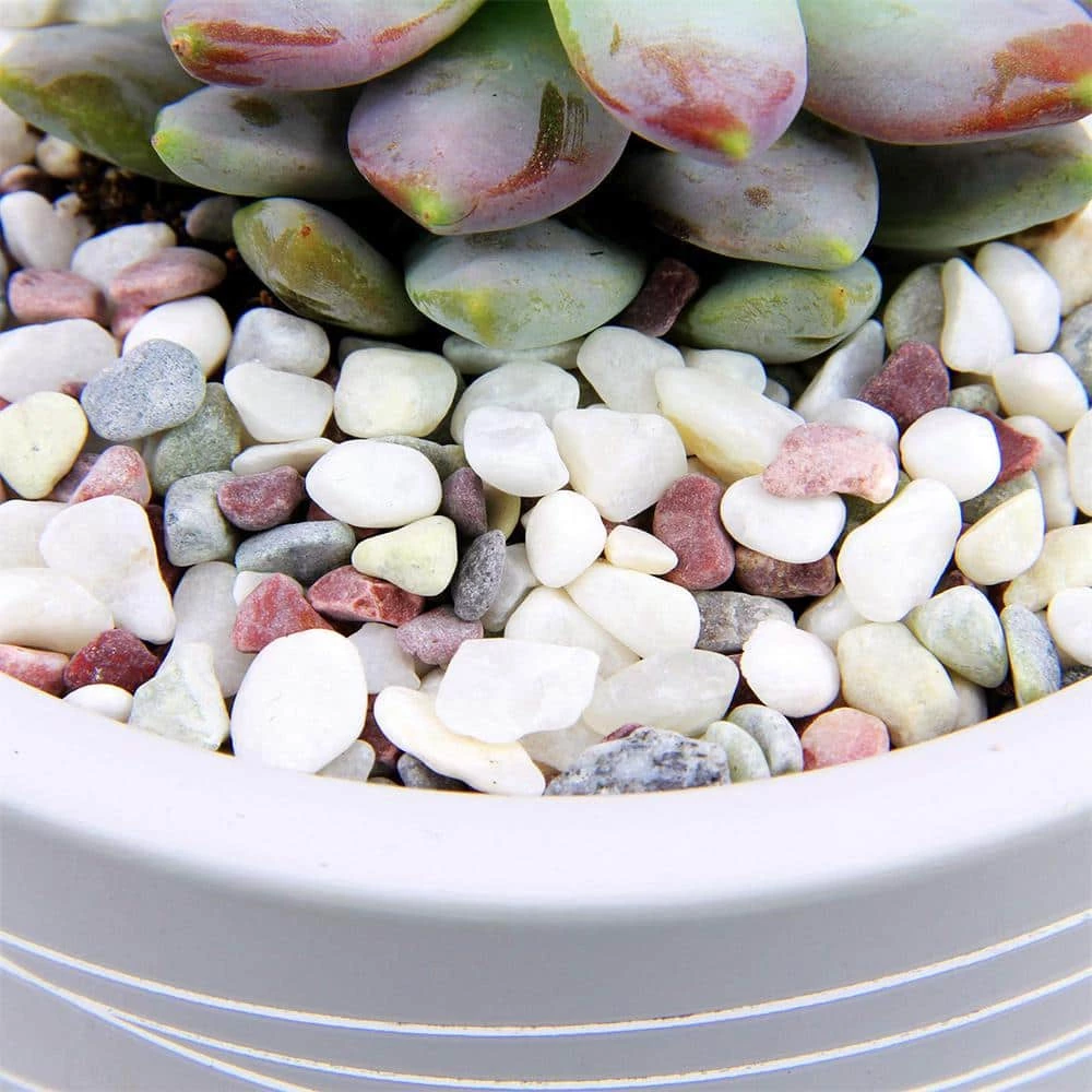 Dyiom 0.1 cu. ft. Multi-Colored Extra Small Gravel 2.5 lbs. 0.2 in.-0.4 in. Size Landscape Rocks 3 Dyiom 0.1 cu. ft. Multi-Colored Extra Small Gravel 2.5 lbs. 0.2 in.-0.4 in. Size Landscape Rocks - Image 3