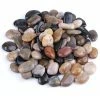 Dyiom 0.1 cu. ft. Multi-Colored Medium Polished Pebbles 5 lbs. 1-2 in. Landscape Rocks