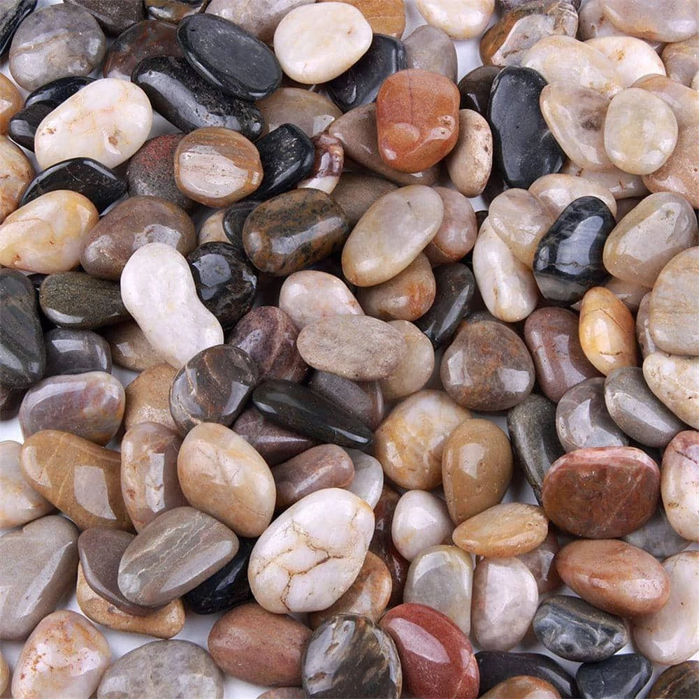 Dyiom 0.1 cu. ft. Multi-Colored Medium Polished Pebbles 5 lbs. 1-2 in. Landscape Rocks 2 Dyiom 0.1 cu. ft. Multi-Colored Medium Polished Pebbles 5 lbs. 1-2 in. Landscape Rocks - Image 2