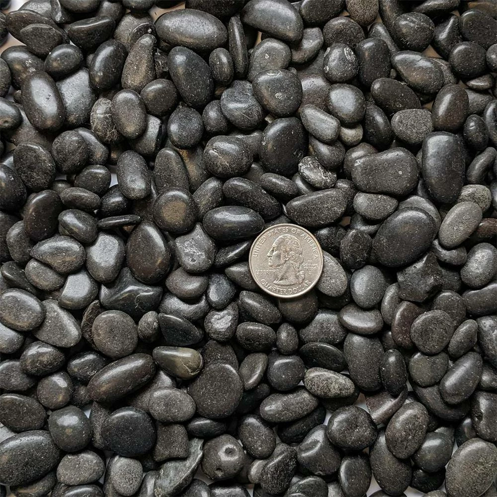 Dyiom 0.1 cu. ft. Black Small Polished Pebbles 2 lbs. 3/8 in.-1/2 in. Size Landscape Rocks 2 Dyiom 0.1 cu. ft. Black Small Polished Pebbles 2 lbs. 3/8 in.-1/2 in. Size Landscape Rocks - Image 2