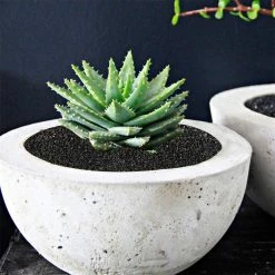 Dyiom 0.1 cu. ft. Black 2.2 lbs. 0.12 in.-0.19 in. Size Extra Small Lava Rock -Sunnydaze Decor Sales dyiom bagged landscape rocks b07vr777yy 76 1000