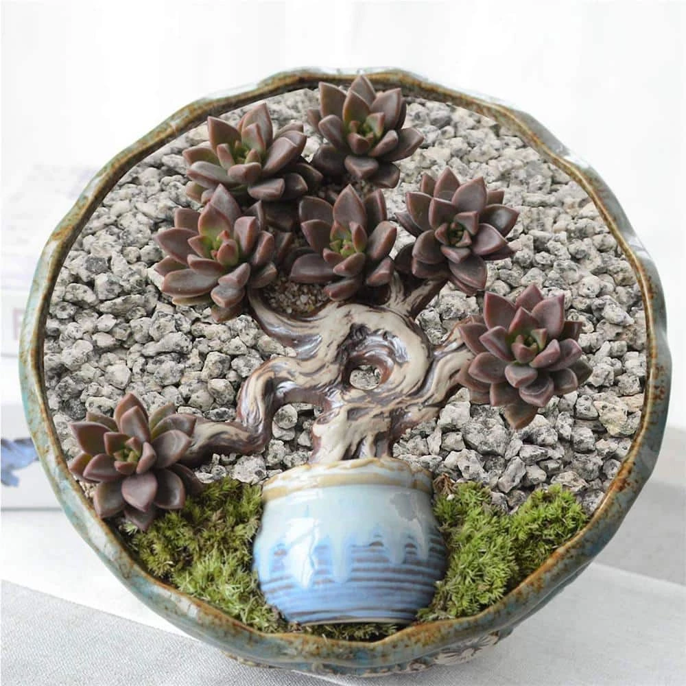 Dyiom 0.1 cu. ft. Gray 2.2 lbs. 0.12 in.-0.19 in. Size Extra Small Gravel 5 Dyiom 0.1 cu. ft. Gray 2.2 lbs. 0.12 in.-0.19 in. Size Extra Small Gravel - Image 5