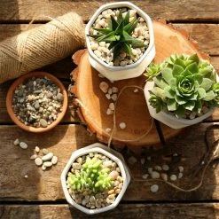 Dyiom 0.1 cu. ft. Multi-Colored 2.2 lbs. 0.24 in.-0.35 in. Size Extra Small Gravel -Sunnydaze Decor Sales dyiom bagged landscape rocks b089h2knwd fa 1000