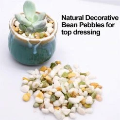 Dyiom 0.1 cu. ft. Multi-Colored 2.2 lbs. 0.2 in.-0.39 in. Size Extra Small Gravel -Sunnydaze Decor Sales dyiom bagged landscape rocks b08df4gm4w 1f 1000