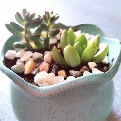 Dyiom 0.1 cu. ft. Multi-Colored 2.2 lbs. 0.2 in.-0.39 in. Size Extra Small Gravel -Sunnydaze Decor Sales dyiom bagged landscape rocks b08df4gm4w fa 1000