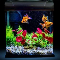 Dyiom 0.1 cu. ft. Multi-Colored 2.2 lbs. 0.2 in.-0.39 in. Size Extra Small Gravel -Sunnydaze Decor Sales dyiom bagged landscape rocks b08dfcjz39 76 1000