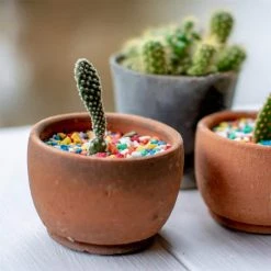 Dyiom 0.1 cu. ft. Multi-Colored 2.2 lbs. 0.12 in.-0.19 in. Size Extra Small Gravel 9 Dyiom 0.1 cu. ft. Multi-Colored 2.2 lbs. 0.12 in.-0.19 in. Size Extra Small Gravel -Sunnydaze Decor Sales dyiom bagged landscape rocks b08dfd8lsk 44 1000