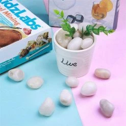 Dyiom 0.1 cu. ft. White Medium Polished Pebbles 3 lbs. 0.7 in.-1 in. Landscape Rocks -Sunnydaze Decor Sales dyiom bagged landscape rocks b08fb4lwkc 1f 1000