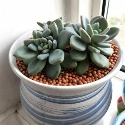 Dyiom 0.1 cu. ft. River Rocks 2.2 lbs. 0.12 in.-0.19 in. Size Orange Extra Small Pea Pebbles -Sunnydaze Decor Sales dyiom bagged landscape rocks b08ghf2vm7 44 1000