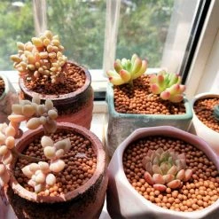 Dyiom 0.1 cu. ft. River Rocks 2.2 lbs. 0.12 in.-0.19 in. Size Orange Extra Small Pea Pebbles -Sunnydaze Decor Sales dyiom bagged landscape rocks b08ghf2vm7 76 1000