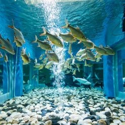 Dyiom 0.1 cu. ft. River Rocks 2.2 lbs. 1 in.-1.5 in. Size Black Small Polished Pebbles -Sunnydaze Decor Sales dyiom bagged landscape rocks b08hqjhknh fa 1000