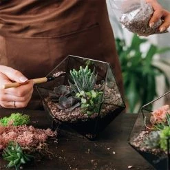 Dyiom 0.1 cu. ft. Red 2.2 lbs. 0.2 in.-0.39 in. Size Extra Small Gravel -Sunnydaze Decor Sales dyiom bagged landscape rocks b08jqkmcv7 fa 1000