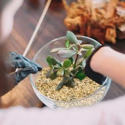 Dyiom 0.1 cu. ft. Multi-Colored Extra Small Pea Gravel 2.7 lbs. 0.04 in.-0.08 in. Landscape Rocks -Sunnydaze Decor Sales dyiom bagged landscape rocks b08nsfv13w fa 1000