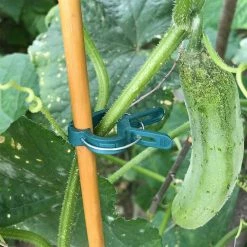 Dyiom 2 in. Gardening Plant Support Clips ( 40 Per Pack) -Sunnydaze Decor Sales dyiom tomato cages b01m34l0db fa 1000