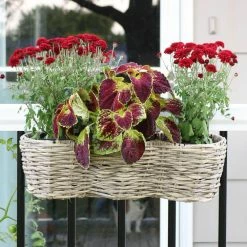Sunnydaze Decor Frost Round Polyrattan Over-the-Rail Tri-Planter -Sunnydaze Decor Sales frost sunnydaze decor railing planters nhu 620 fa 1000