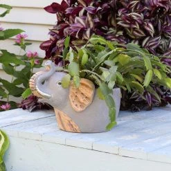 Sunnydaze Decor Sunnydaze 8.5 in. Indoor Ceramic Planter Statue Elsie The Elephant -Sunnydaze Decor Sales gray sunnydaze decor plant pots art 233 31 1000