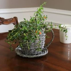 Sunnydaze Decor Sunnydaze 14 in Gray Willow Wicker Coffee Cup Planters (2-Pack) 11 Sunnydaze Decor Sunnydaze 14 in Gray Willow Wicker Coffee Cup Planters (2-Pack) -Sunnydaze Decor Sales gray sunnydaze decor plant pots hb 804 66 1000
