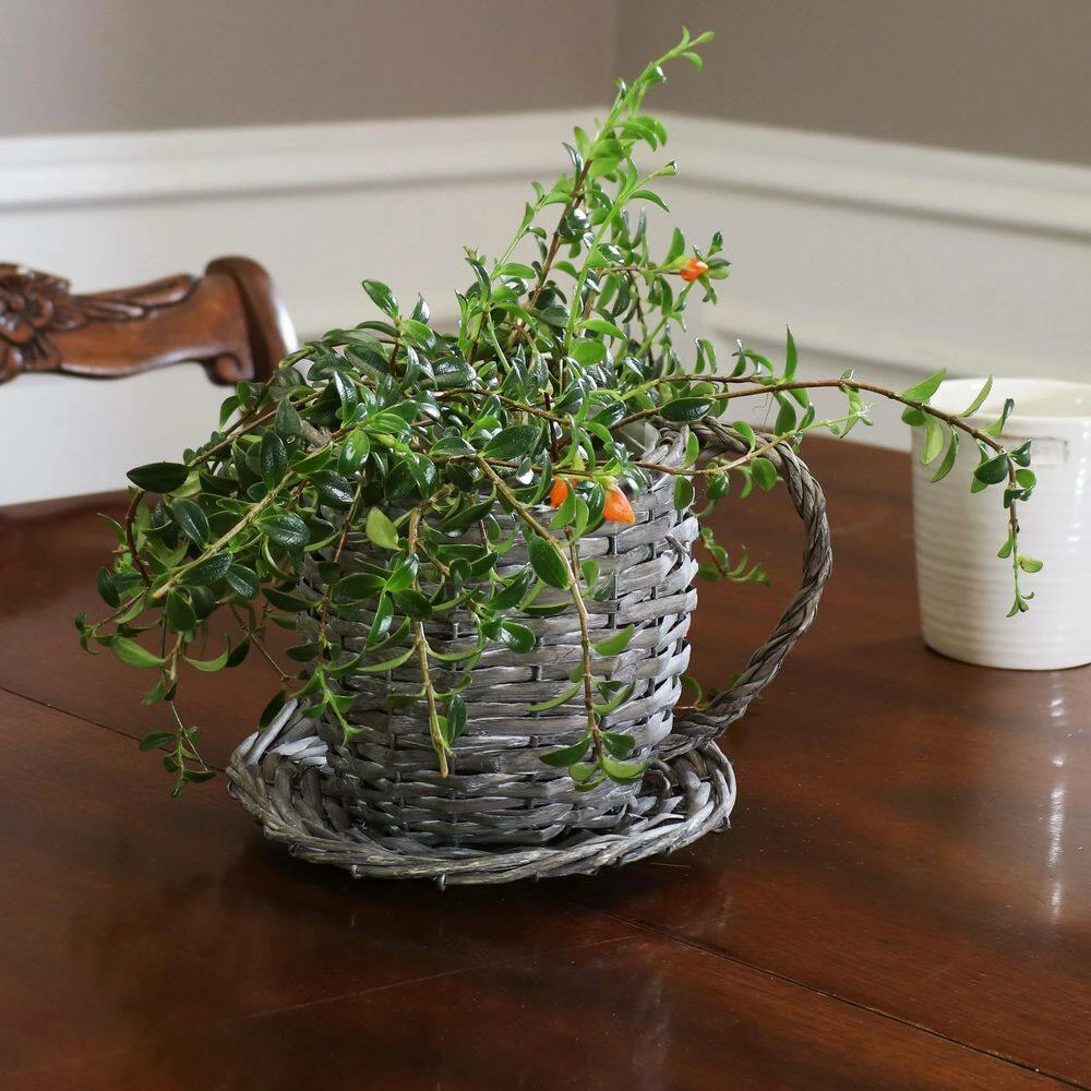 Sunnydaze Decor Sunnydaze 14 in Gray Willow Wicker Coffee Cup Planters (2-Pack) 3 Sunnydaze Decor Sunnydaze 14 in Gray Willow Wicker Coffee Cup Planters (2-Pack) - Image 3