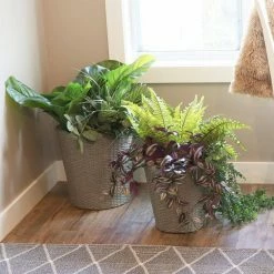 Sunnydaze Decor Sunnydaze Round Polyrattan Indoor Planters - 1 Large/1 Small Planter - Gray 15 Sunnydaze Decor Sunnydaze Round Polyrattan Indoor Planters - 1 Large/1 Small Planter - Gray -Sunnydaze Decor Sales gray sunnydaze decor plant pots nhu 508 31 1000