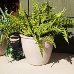 Sunnydaze Decor 11 in. 2 Ocean Villa Ceramic Indoor/Outdoor Planters - Pearl -Sunnydaze Decor Sales pearl sunnydaze decor plant pots ap 998 66 1000