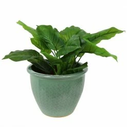 Sunnydaze Decor 15 in. Ocean Villa Ceramic Indoor/Outdoor Planter Seaside Dreams 14 Sunnydaze Decor 15 in. Ocean Villa Ceramic Indoor/Outdoor Planter Seaside Dreams -Sunnydaze Decor Sales seafoam sunnydaze decor plant pots ap 967 1f 1000
