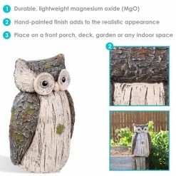 Sunnydaze Decor 13 in. Indoor/Outdoor Figurine Sunnydaze Ophelia the Woodland Owl Statue 10 Sunnydaze Decor 13 in. Indoor/Outdoor Figurine Sunnydaze Ophelia the Woodland Owl Statue -Sunnydaze Decor Sales sunnydaze decor garden statues art 196 1f 1000