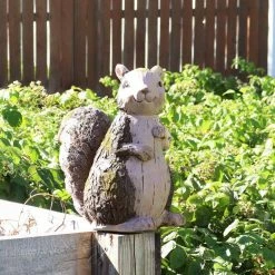 Sunnydaze Decor 13 in. Sunnydaze Indoor/Outdoor Garden Statue Silas The Woodland Squirrel -Sunnydaze Decor Sales sunnydaze decor garden statues art 219 31 1000