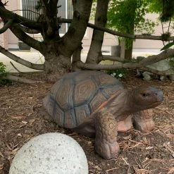 Sunnydaze Decor 20 in. Tanya the Tortoise Indoor-Outdoor Lawn and Garden Statue 12 Sunnydaze Decor 20 in. Tanya the Tortoise Indoor-Outdoor Lawn and Garden Statue -Sunnydaze Decor Sales sunnydaze decor garden statues xca 11333 44 1000