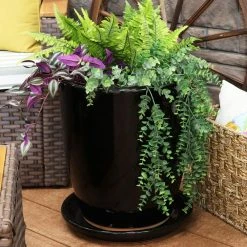 Sunnydaze Decor 2 Sunnydaze 12 in. Obsidian Ceramic Planter Saucers -Sunnydaze Decor Sales sunnydaze decor planter saucers ap 013 66 1000